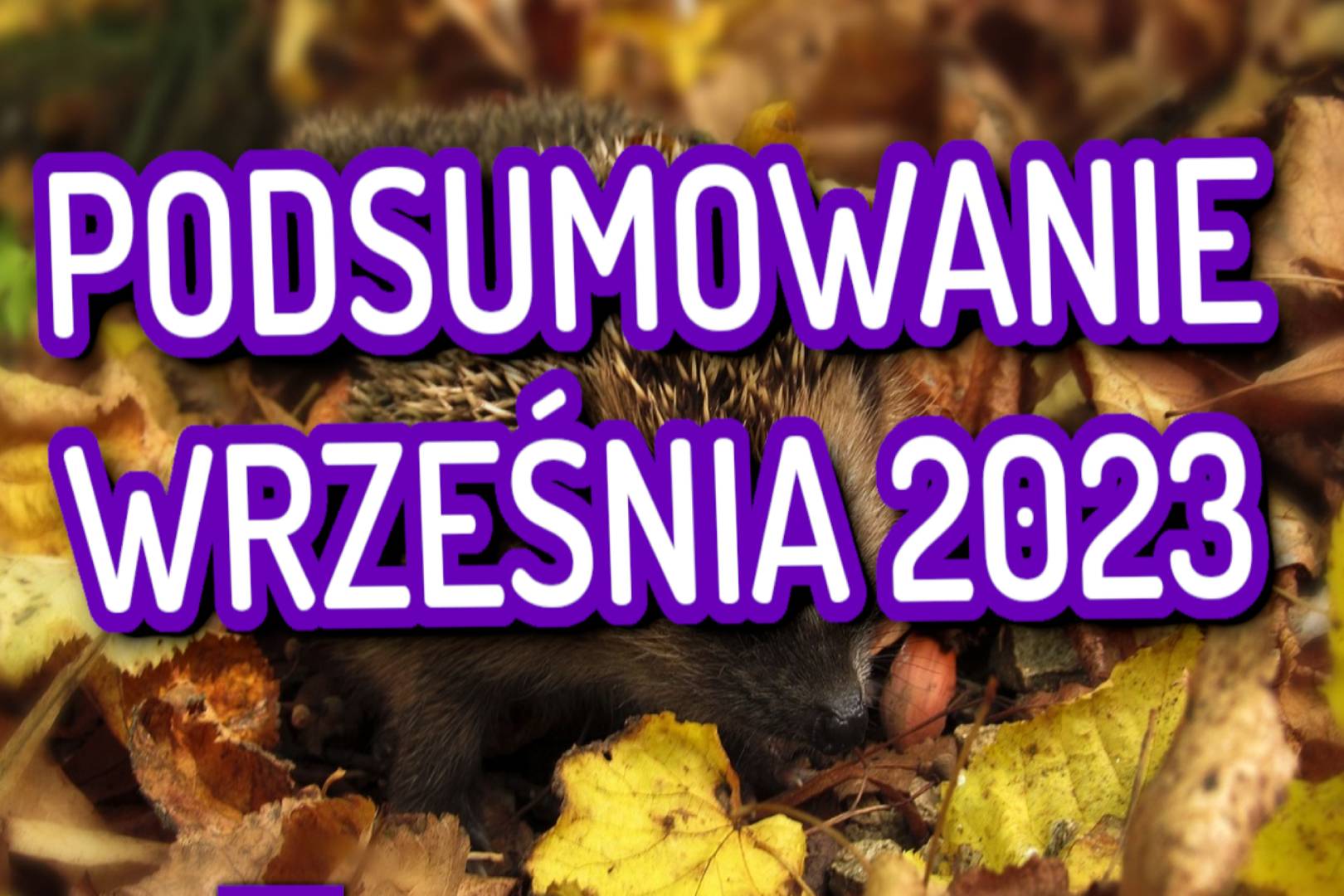 Podsumowanie września